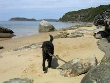 Molly at Pearl Beach,Central Coast,NSW