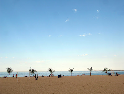 chicago oak street beach summer fun