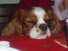 tantoooo sonno!!