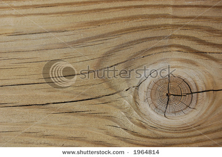 Wood Knot