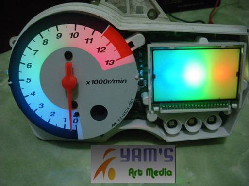 3 Color Speedo FU