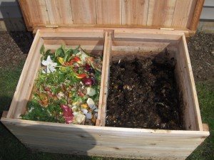 [vermicompost1-300x225.jpg]