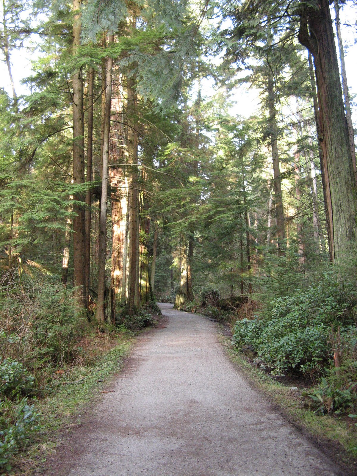 [Vancouver+070.JPG]