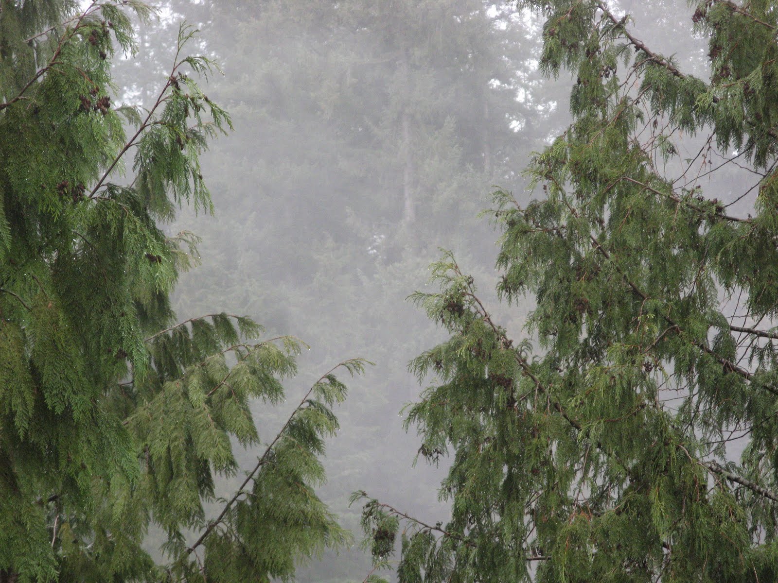 [Vancouver+211.JPG]