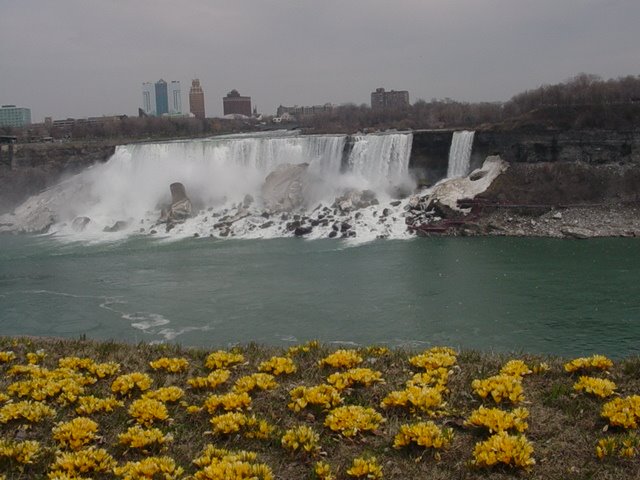 [DSC01800.JPG]