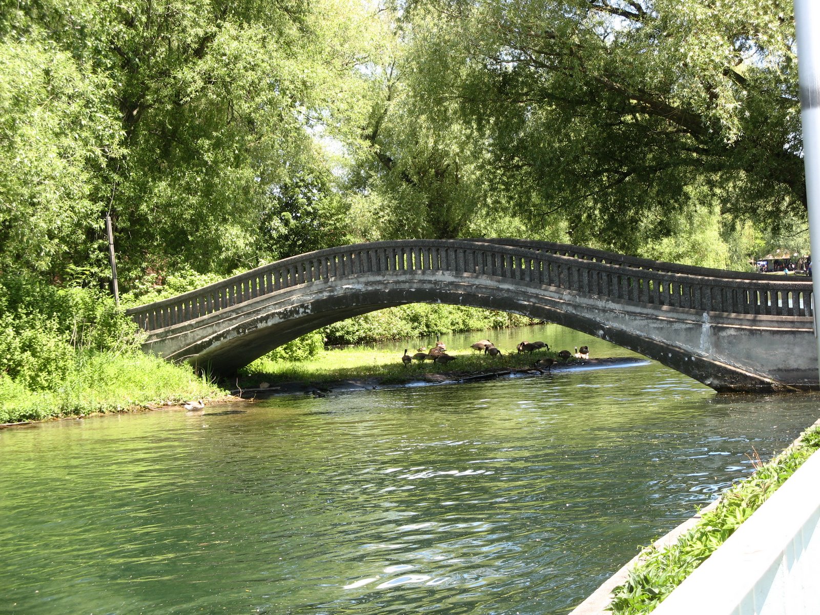 [IMG_1124.JPG]