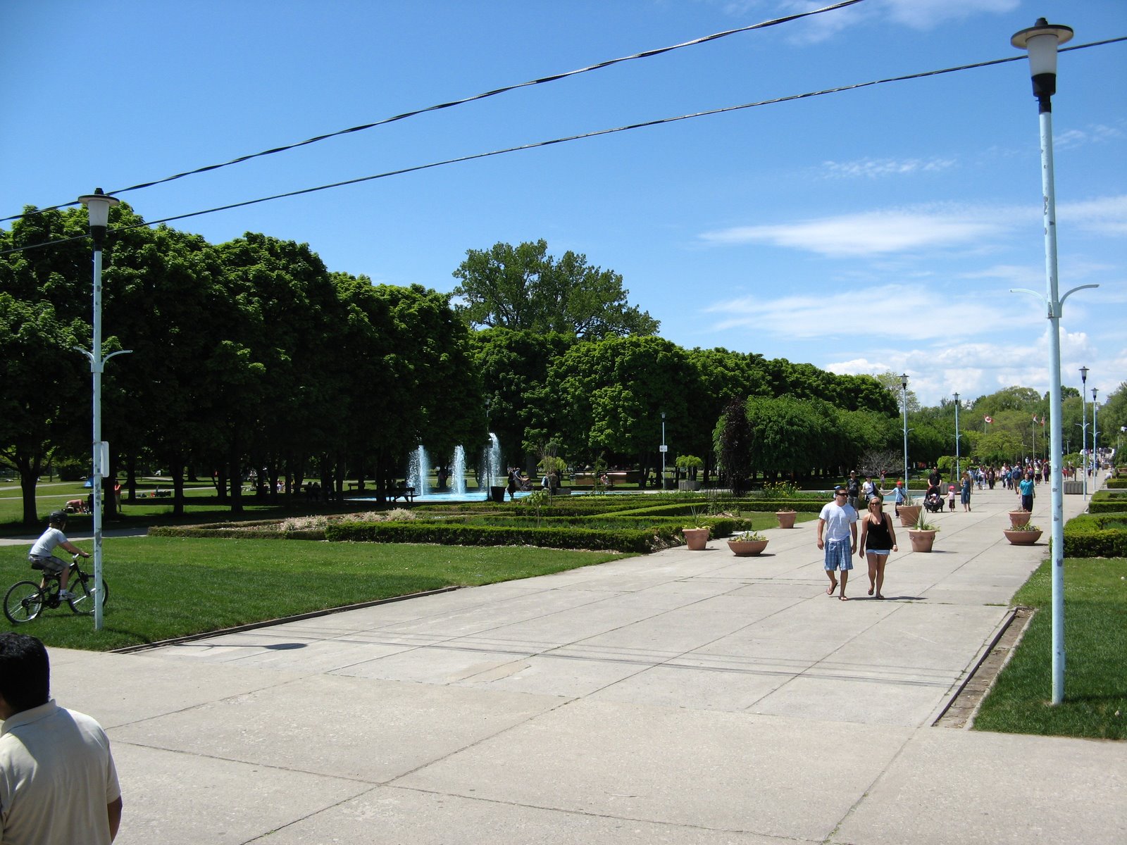 [IMG_1117.JPG]