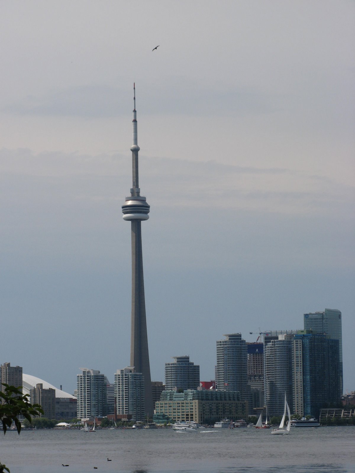 [Toronto+Islands+II+019.JPG]