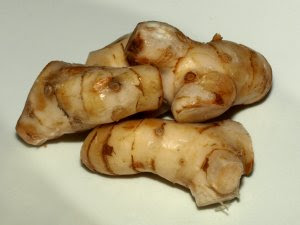 Galangal