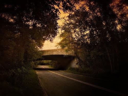 The Suite Life of 2e Sweet Hollow Road..