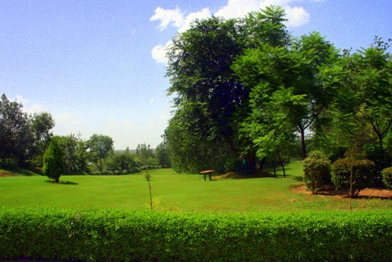 [golf+course.JPG]