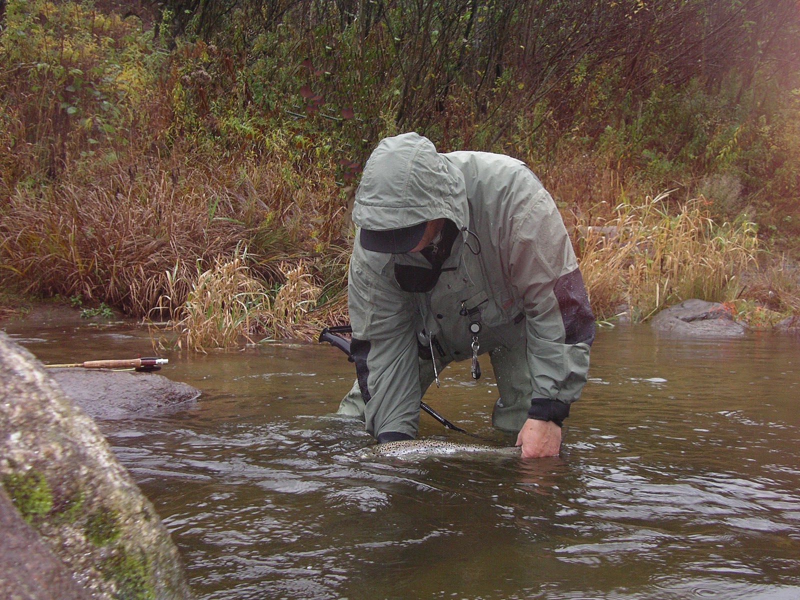 fly fishing strike
