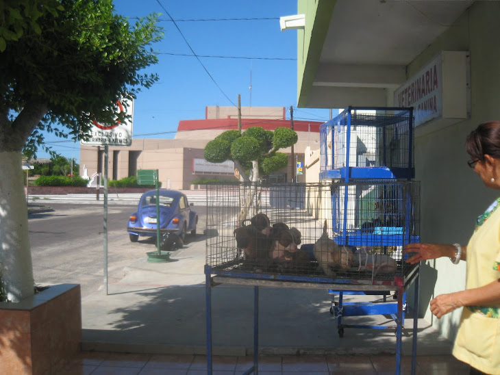 ESTAMOS FRENTE AL TEATRO DE LA CIUDAD