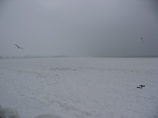 The frozen harbor Gdynia The frozen harbor Gdynia