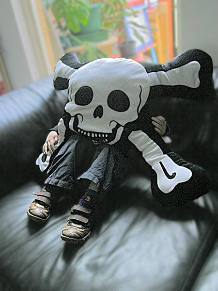 [pillow_crossbones.jpg]