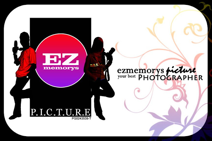 EZ Memory's Picture