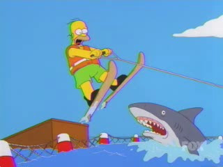 [Image: Homer%20Jump%20Shark.jpg]