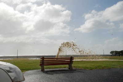 pictures of the 2008 storm that hit cape town south africa