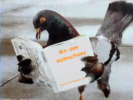 [Zen+instructions.bmp]