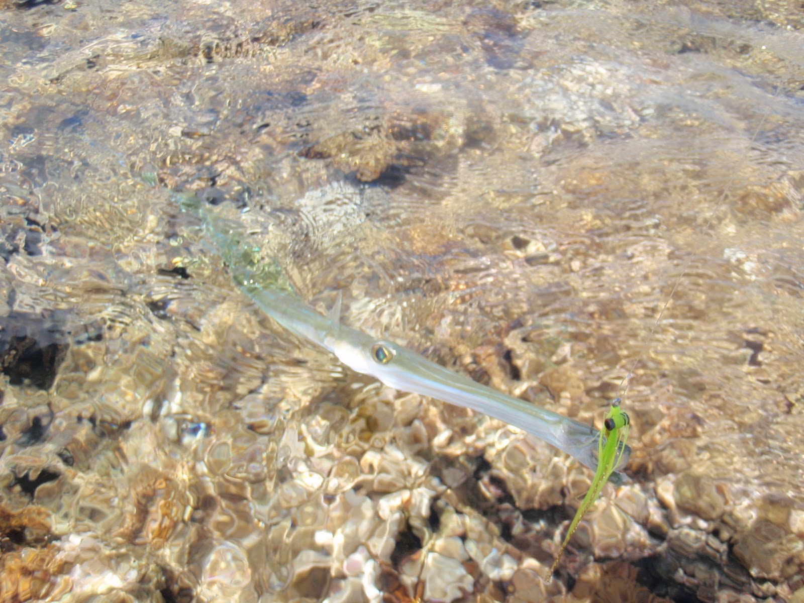 Fly Fishing Adventures Kauai on the fly