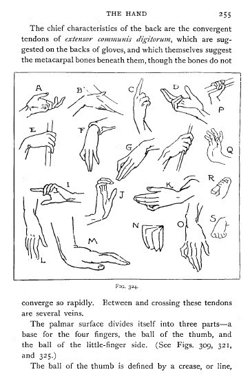 [figure_drawing_hatton_255-hands.jpg]