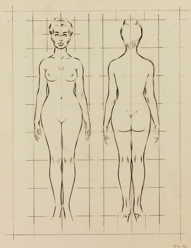 figure drawing how to draw the proportions of a female fritz willis