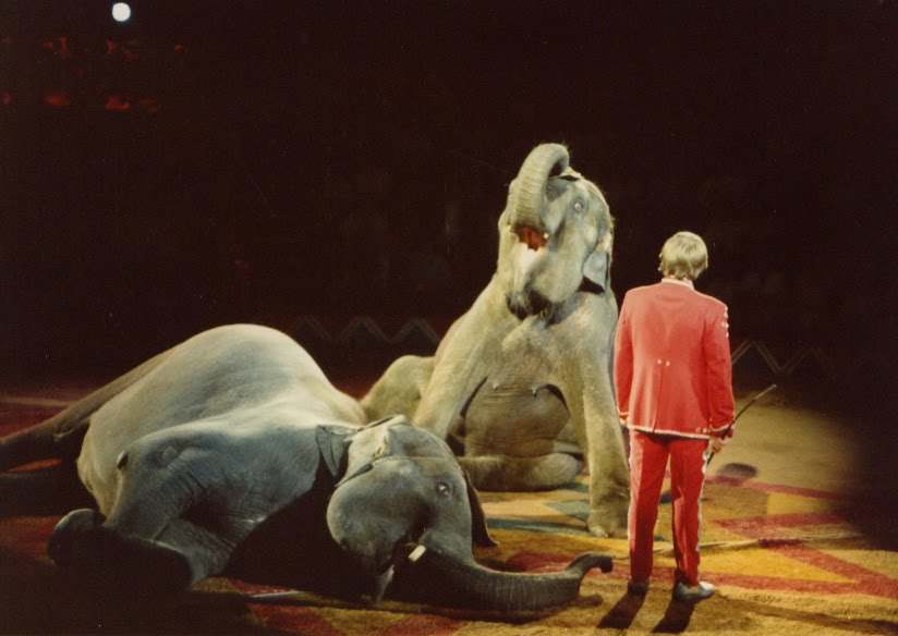 A friend of the Circus Alex Larenty, Hippodrome Circus, 1985