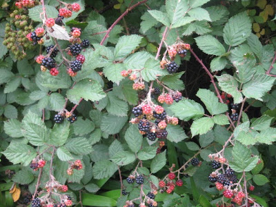 rencontre troisieme type streaming