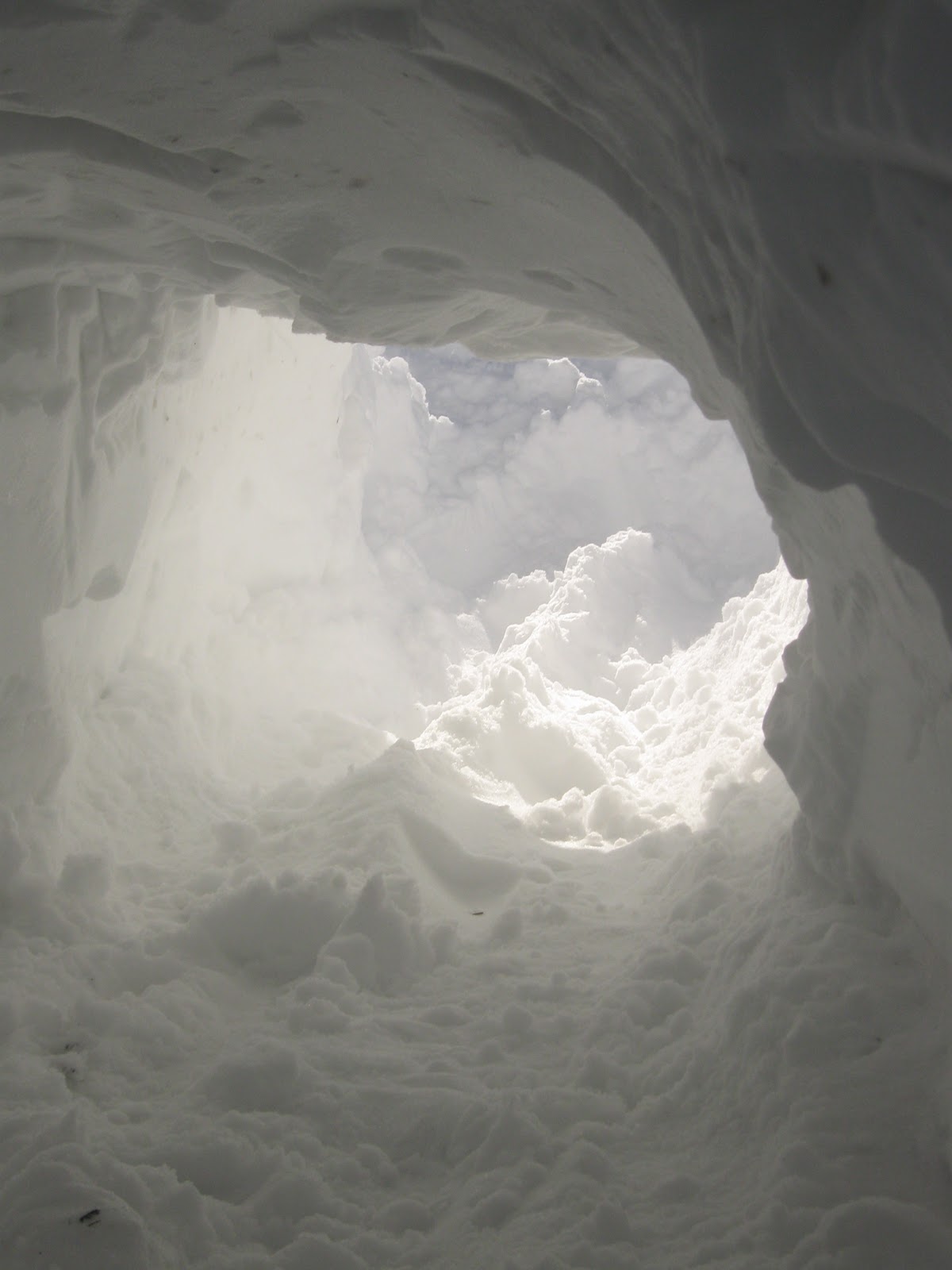 Wisdom Girly Snow tunnel! Snow day!