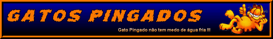 Gatos Pingados