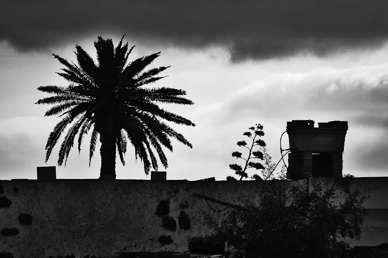 LANZAROTE BLANCO Y NEGRO
