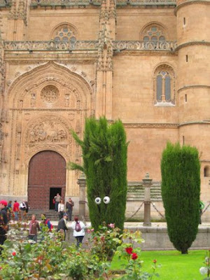 Árbol con mal corte de pelo