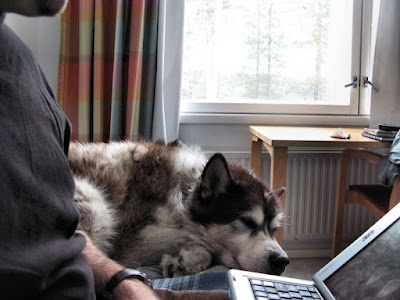 blogging blogging