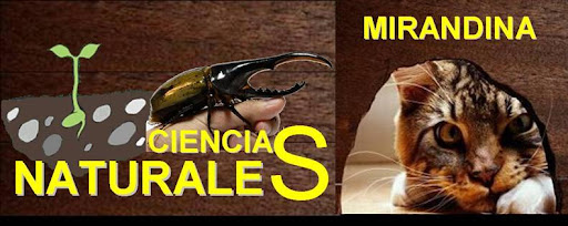 CIENCIAS NATURALES MIRANDINA