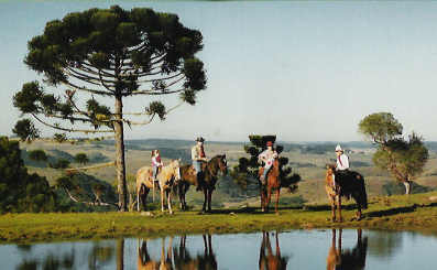 Campos de Cima da Serra