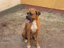 Mi foto
