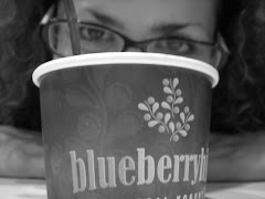 Yogurt at Blueberry Hill