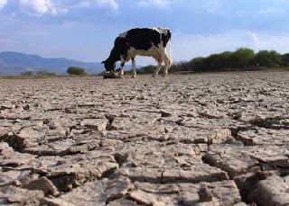 Засуха в Аргентине