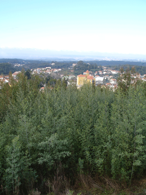 [DSC07823.gif]