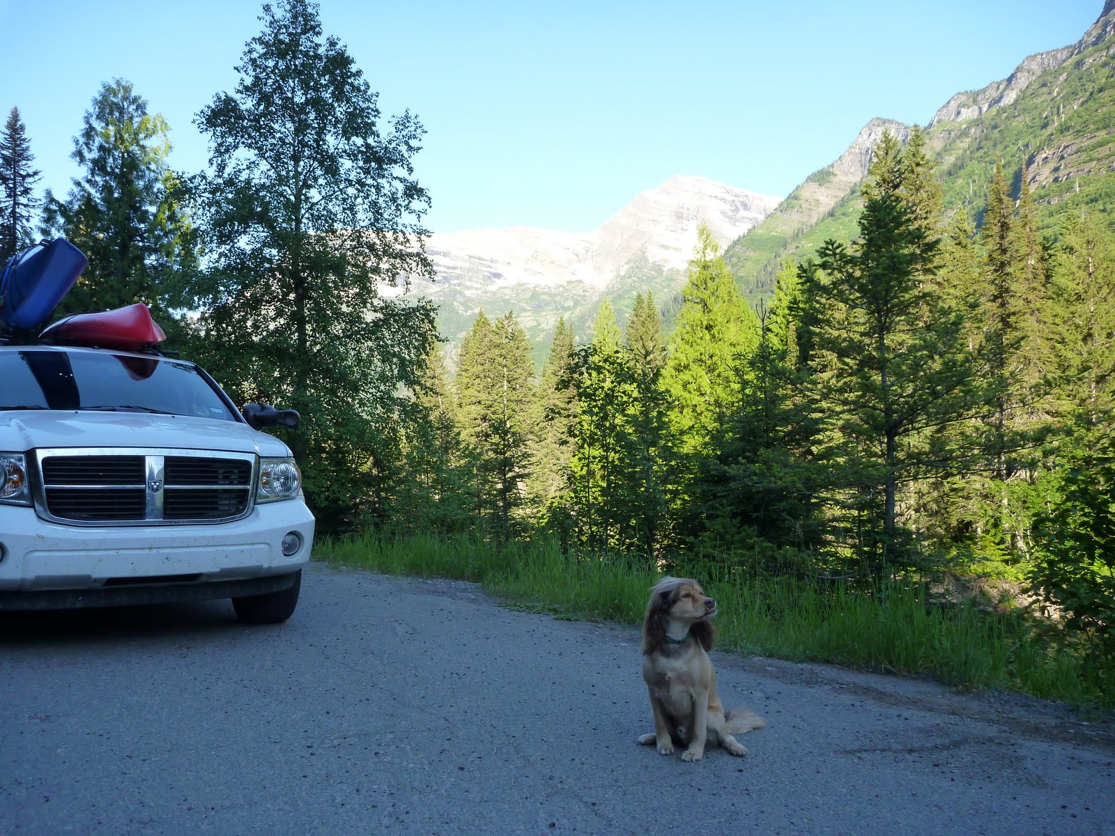 Adventures With Jack The Dog Glacier National Park, Montana