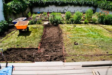 [garden-path-kalynskitchen.jpg]