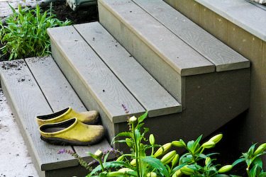 [front-steps-kalynskitchen.jpg]