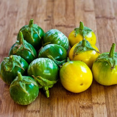 I notice most photos I see online of these Thai Kermit Eggplants show only green eggplants, so I'm wondering if I wasted the ones that have turned yellow. Thai Kermit Eggplant