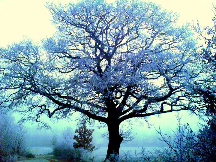 Frost at midnight essay
