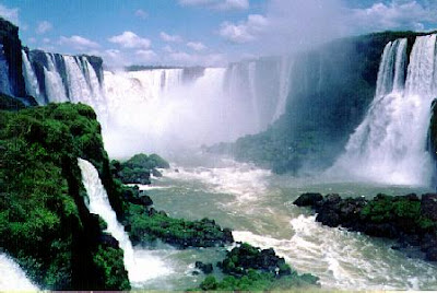 http://4.bp.blogspot.com/_s-e69T3zFFc/S3DVKY3oryI/AAAAAAAAJKw/kuyUOnBvdTg/s400/iguana_fall.jpg