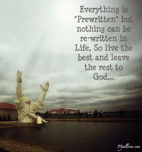 eautiful quotes about women beautiful quotes about women. eautiful quotes about women