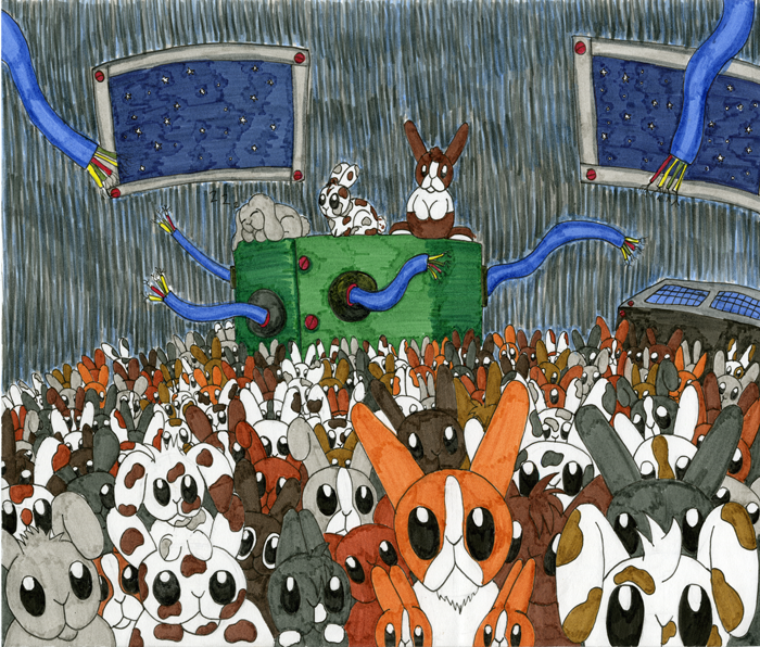 lots-of-rabbits-colour.png