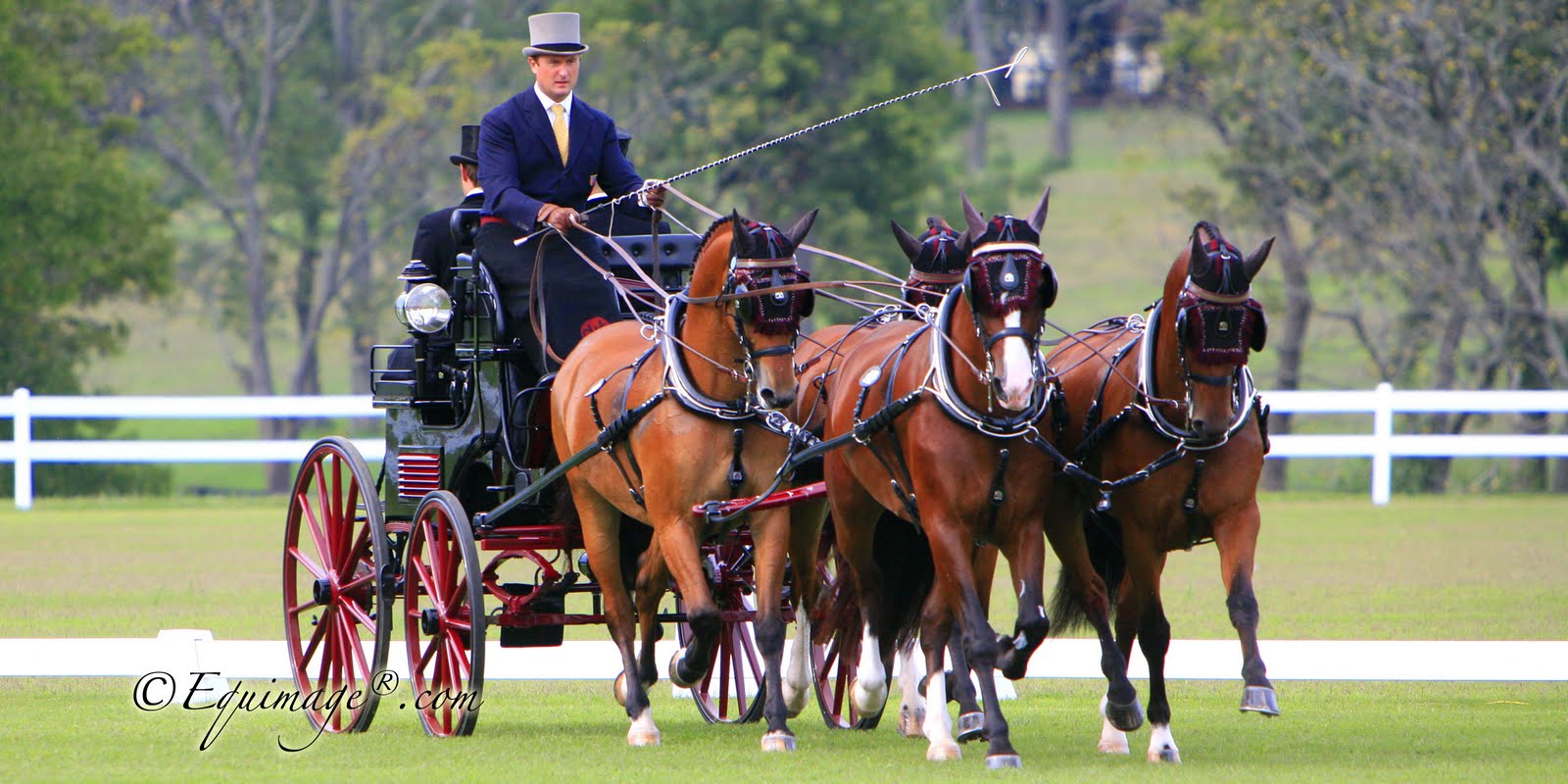 WEG Central Driving USEF Chester er's FourInHand Team Wins