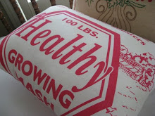 My Chicken Feed pillow was featured on Indie Icing...