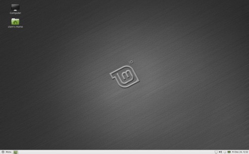 linux mint 10 manual partition